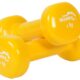 Αλτήρες - 1 kg | Βαράκια  Pair