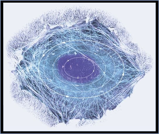 Διαμαγνητική Αντλία CTU-20 PERISO