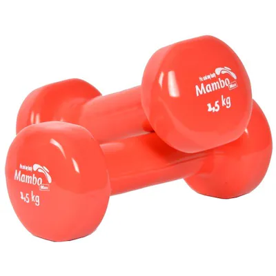ΑΛΤΗΡΕΣ 1,5 kg | Βαράκια Pair