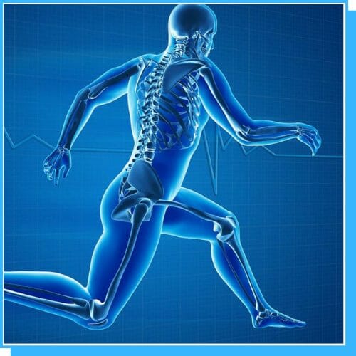 Compex Knee Sleeve | Επιγονατίδα