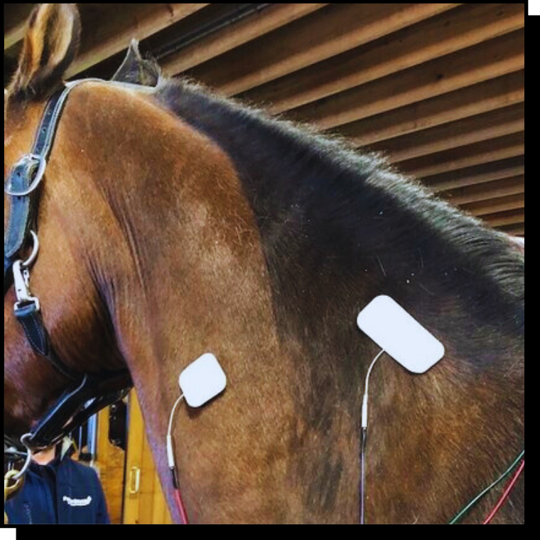 ΣΥΣΚΕΥΗ ΗΛΕΚΤΡΟΘΕΡΑΠΕΙΑΣ Intelect Advanced Monochromatic Stim